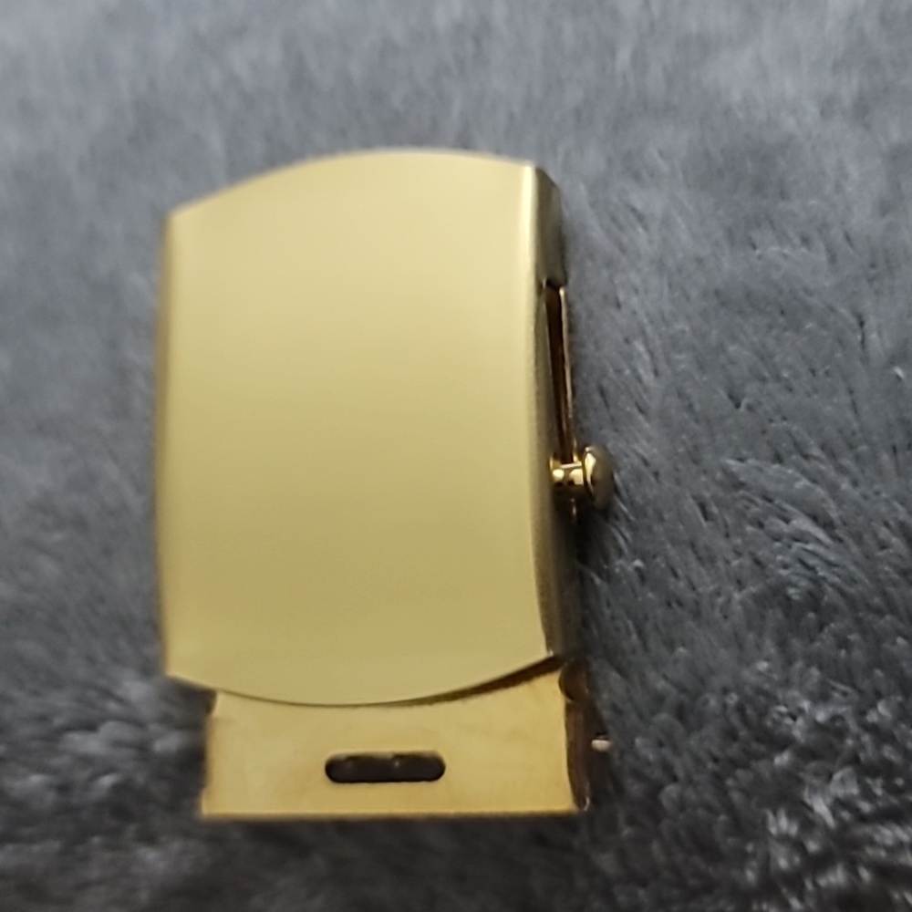 Buckle-Down Web Gold Colored Belt Buckle
